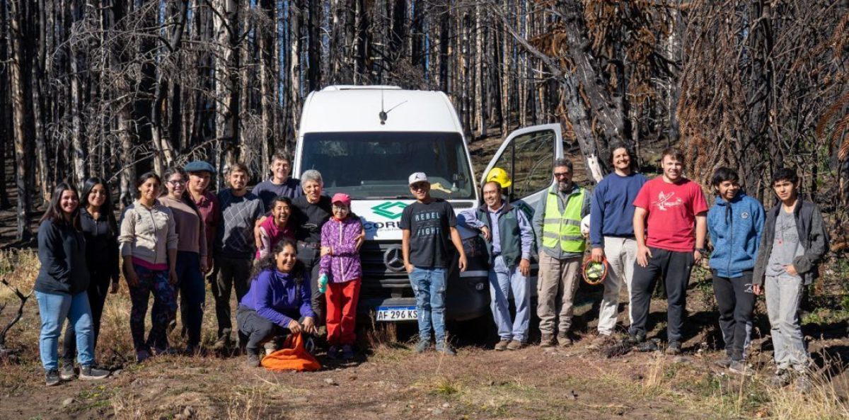 Avanzan las tareas para reforestar el Lote 39 de Aluminé
