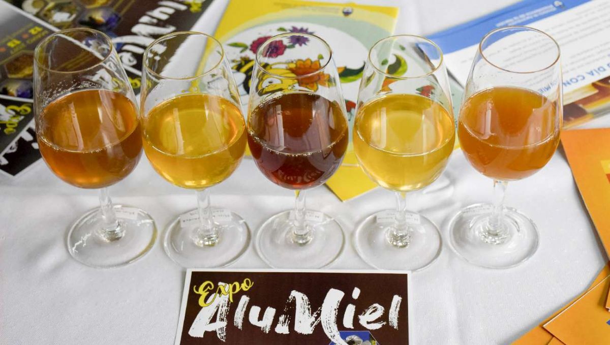 Aluminé recibe la Expo "Alumiel y el 5° Encuentro de Apicultores Patagónicos