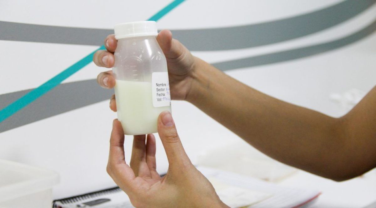 El impacto de la donación de leche humana en terapia neonatal del Hospital Castro Rendón