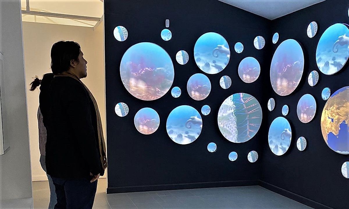 El Museo del Desierto Patagónico de Añelo se prepara para recibir visitas este fin de semana largo