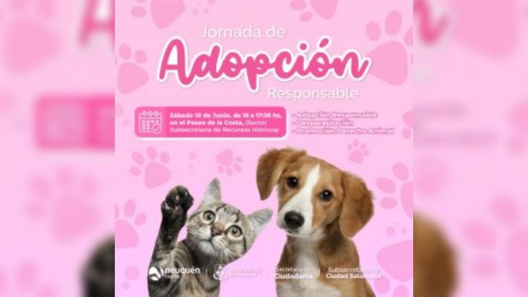 Habrá una nueva Jornada de Adopción Responsable de Animales no Humanos en el Paseo Costero este finde  thumbnail